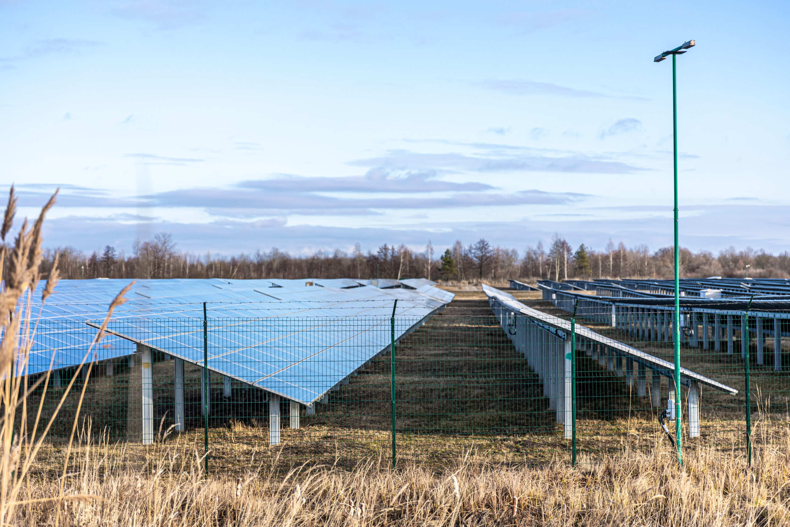 Why Captive Solar Plants Are the Future of Industrial Energy
